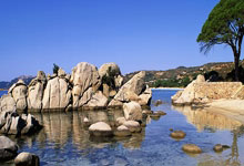 开云体育网页版-包含东南亚冠军联赛冠军产生，掌声雷动的词条