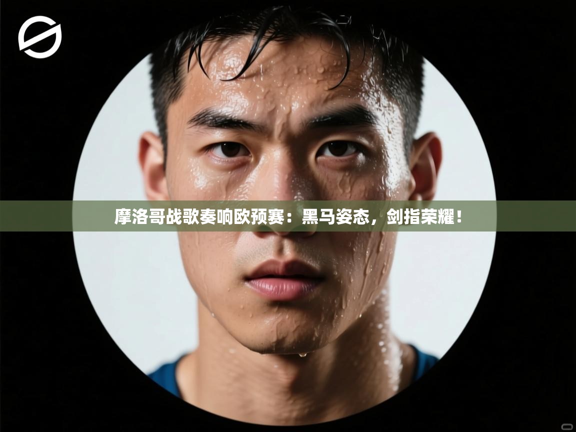 摩洛哥战歌奏响欧预赛:黑马姿态,剑指荣耀! 第2张